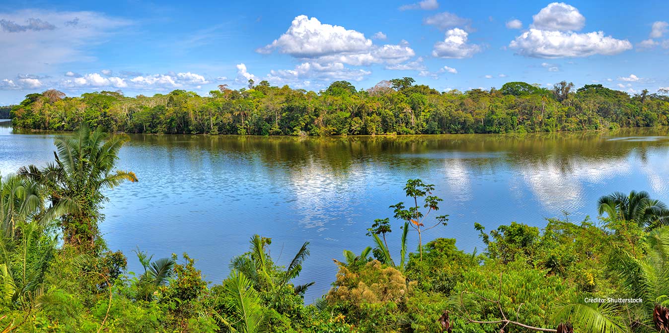 Reserva Nacional de Tambopata