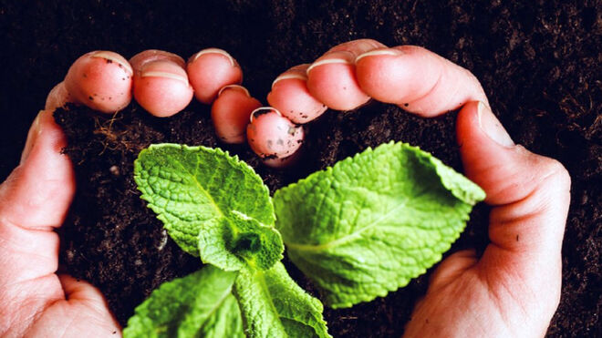 Congreso "Creación, persona y desarrollo sostenible desde la Laudato Si’"
