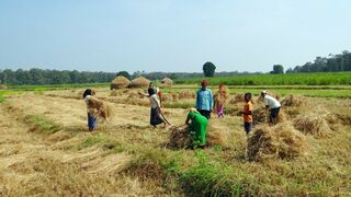 Comentario (y video) a las lecturas del domingo 25 "A"