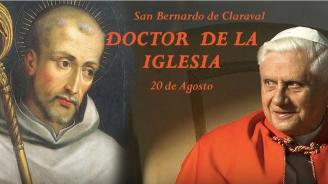 Benedicto XVI y San Bernardo