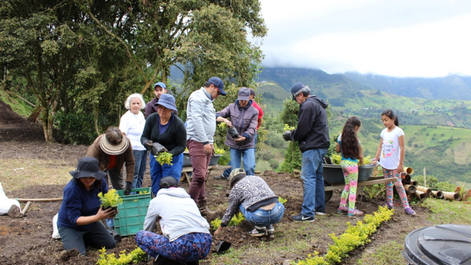 Cultivo de la tierra