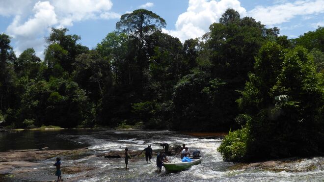 Amazonía