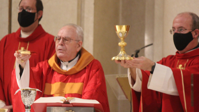 Cardenal Bocos