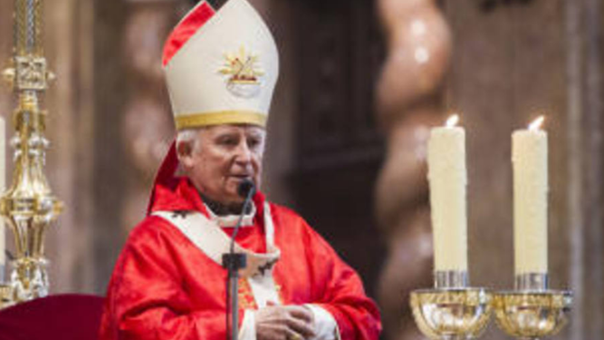 El cardenal Cañizares