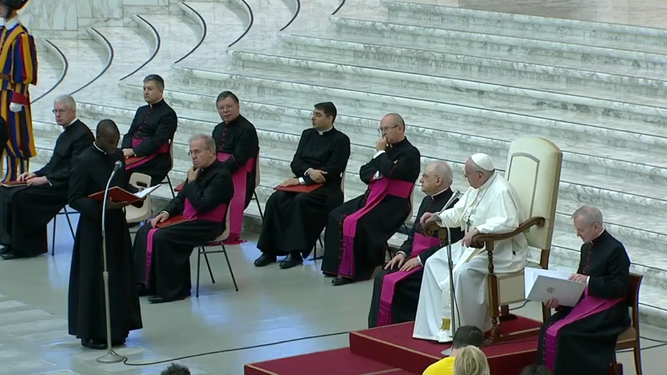 El Papa, en la audiencia