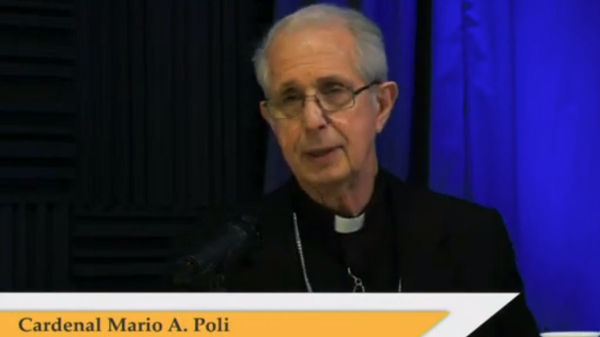 Poli durante el webinar