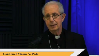 Poli durante el webinar