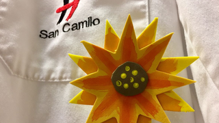Los girasoles de los camilos, por los cuidados paliativos