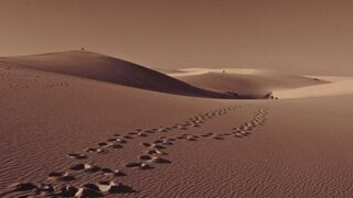 Huellas de fraternidad