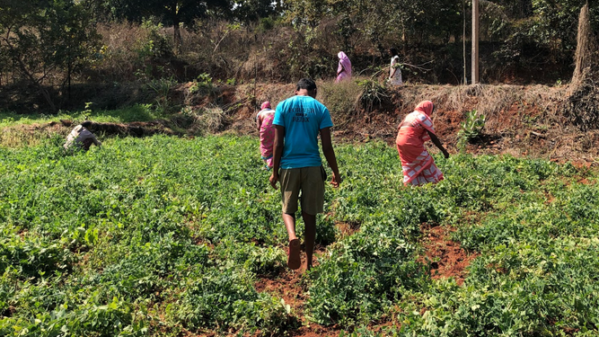Agroecología en India