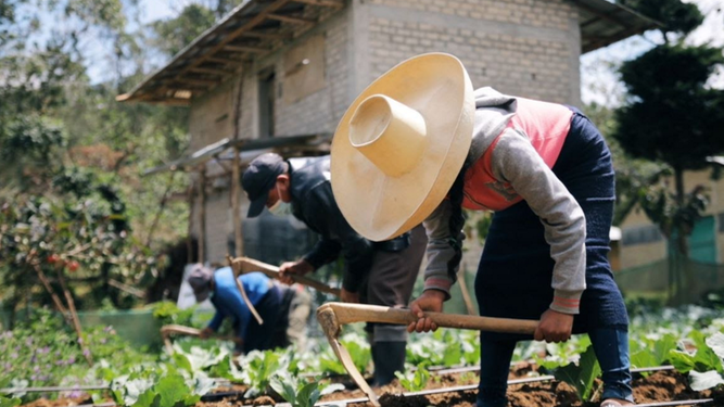 Manos Unidas y la agricultura en Perú