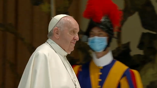 El Papa, en la audiencia