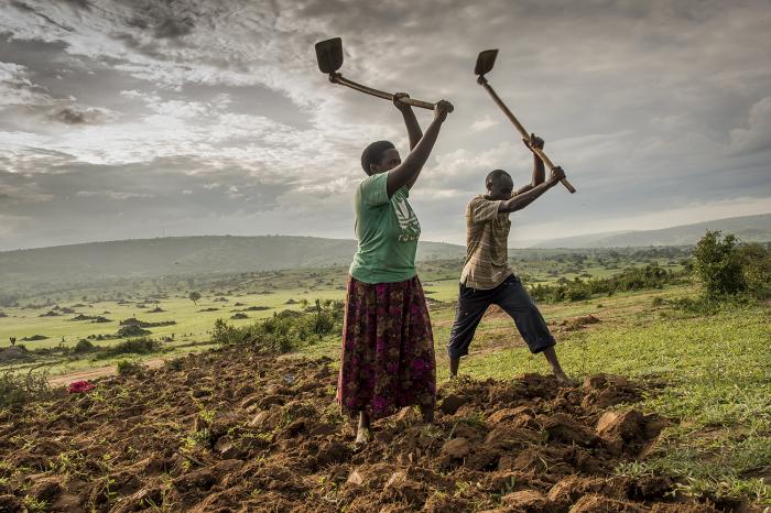 africanos_trabajando_en_el_campo