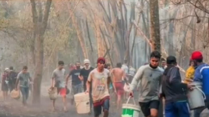 Protegiendo los bosques del interior de Paraguay