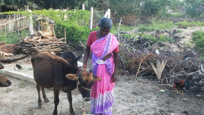 Mujeres campesinas en India