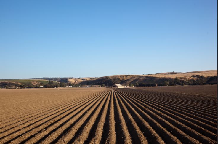 Campo-suelo