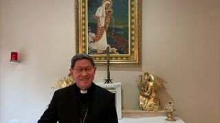 Cardenal Tagle : "Aunque el mundo está pasando por desafíos muy fuertes, la misión continúa"