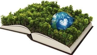 Ecoteología, la opción por la Tierra