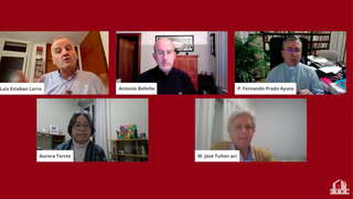 Participantes en el webinar organizado por el ITVR