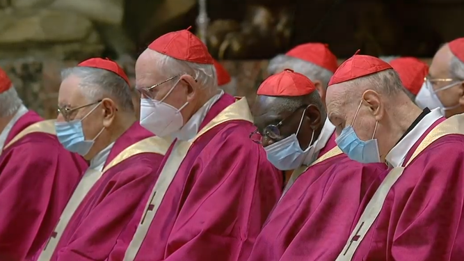 Cardenales con mascarilla