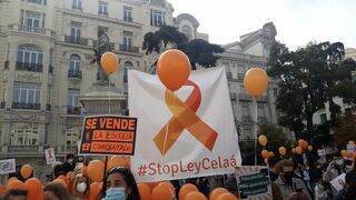 Cocentración plataforma Mas Plurales