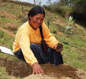 MUJER CAMPESINA
