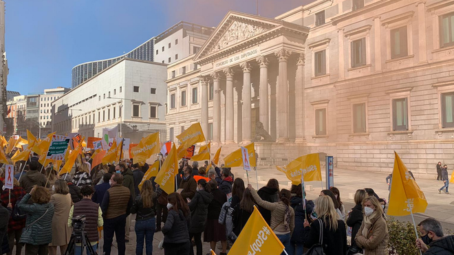 Manifestación ante el Congreso