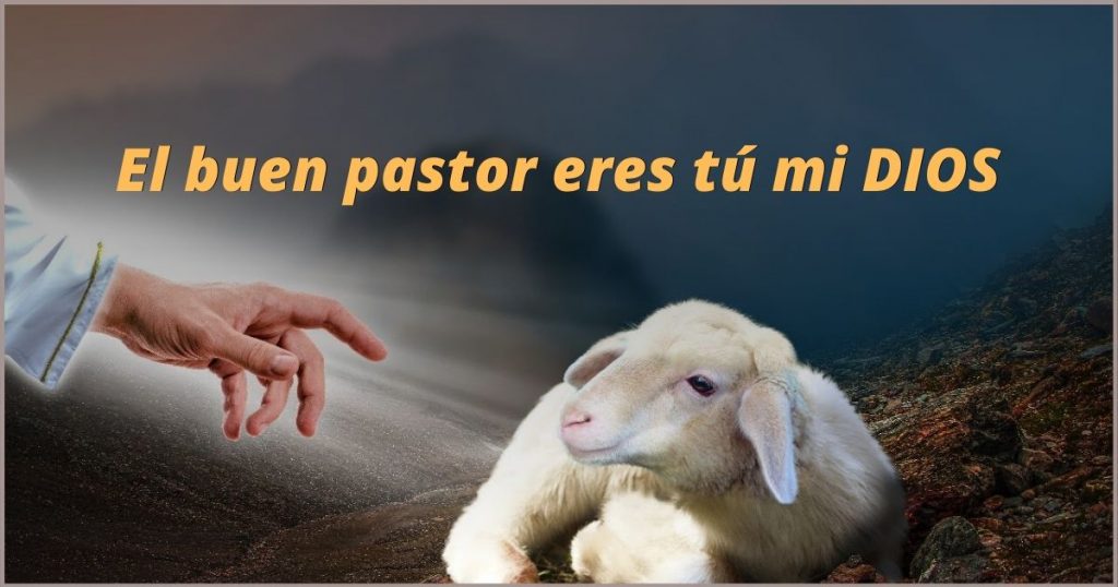 El-buen-pastor-1-1024x538