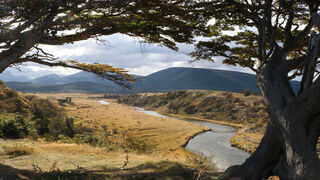 El clamor de la tierra