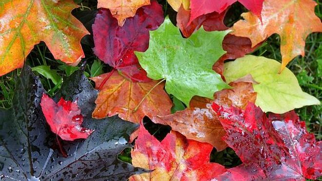 Noviembre