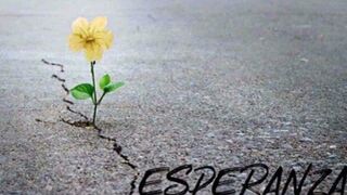 Vivir la esperanza del adviento en tiempos de pandemia