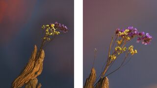 Dame la mano y moveremos el mundo