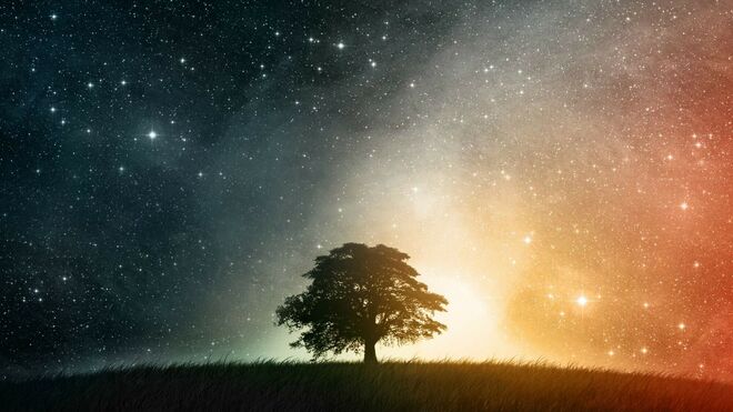 Cosmos