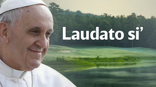 Laudato si