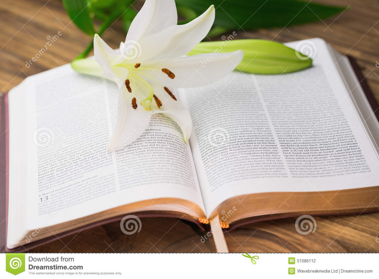 flor-del-lirio-que-descansa-sobre-la-biblia-abierta-51086112