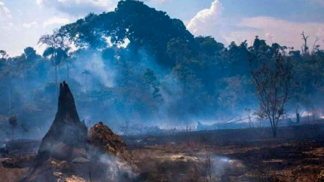 Naturaleza dañada