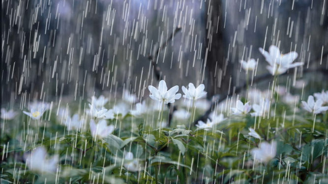 Naturaleza