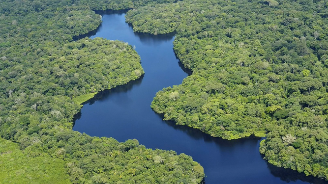 Amazonía