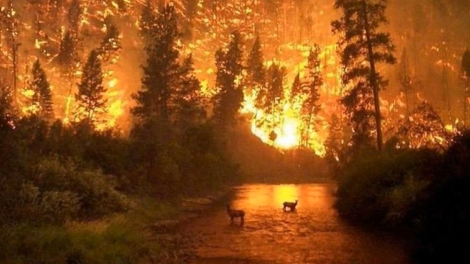 Incendios