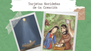 (Novena) La Navidad se vive como Ecología Integral