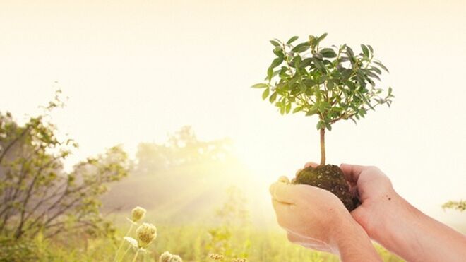 José Antonio Pagola: Ante un año nuevo