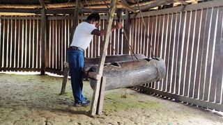 El manguaré en Sabaloyacu