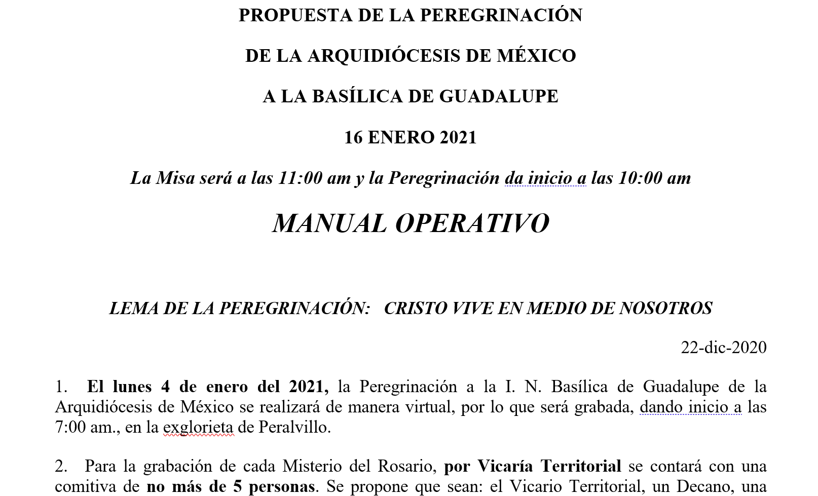 manual operativo