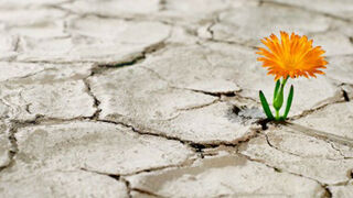 En el 2021: ¿Quién nos podrá separar del amor de Cristo?