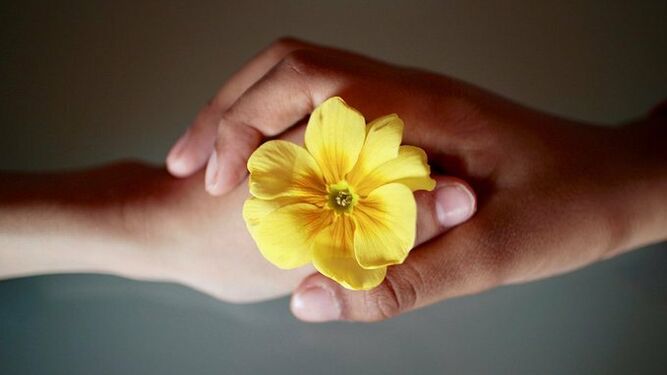 Fraternidad