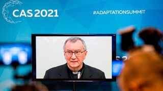 Parolin clama por "una respuesta colectiva responsable" para luchar contra el cambio climático
