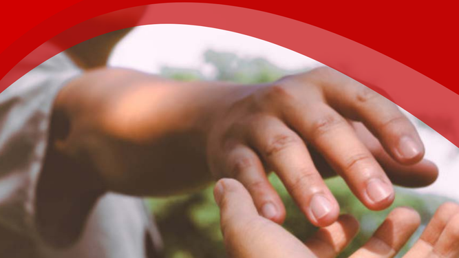 Caritas Brasil