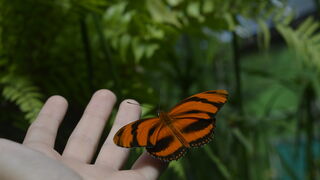 Jornadas “Sufrimiento al final de la vida ¿Cómo afrontarlo?”/ Sufrimendua bizitzaren amaieran. Nola aurre egin?”,  conclusiones