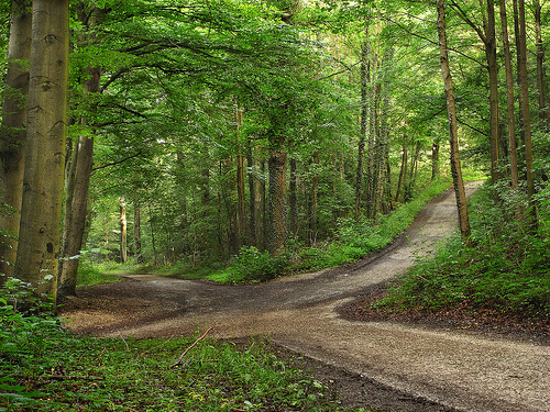 cruce caminos