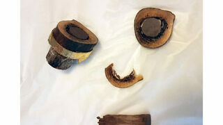 Los restos de Santiago y Felipe analizados